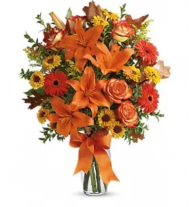 Burst of Autumn